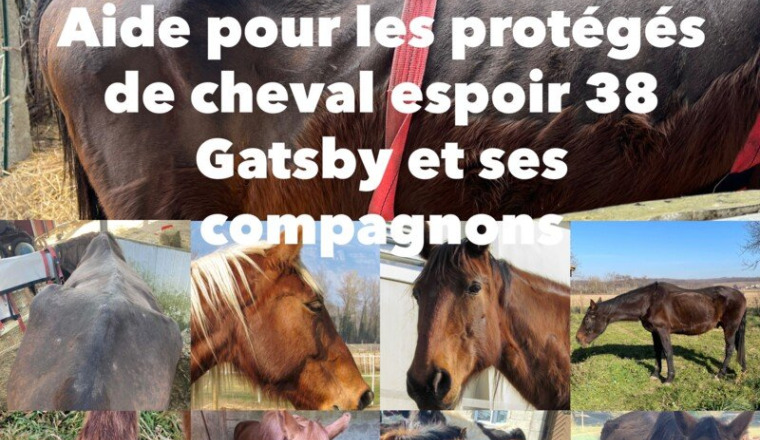 Aide à l’association Cheval Espoir 38