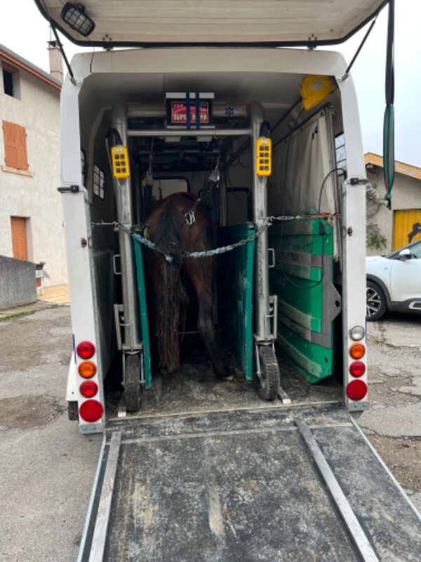 Image justificative de la cagnotte