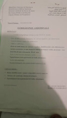 Image justificative de la cagnotte