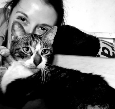 Aide factures veterinaire