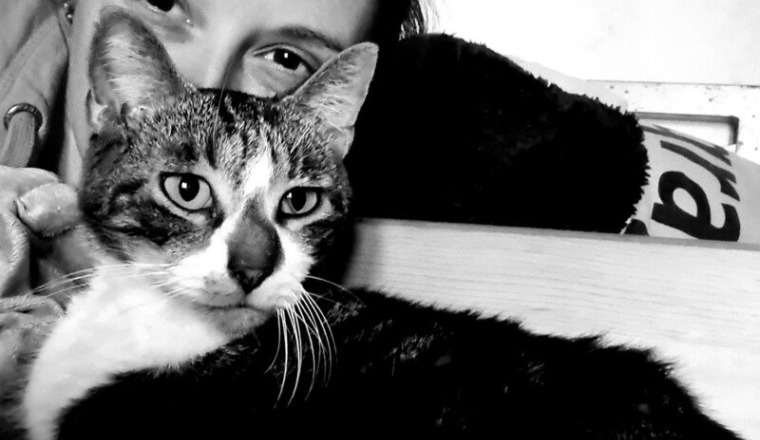 Aide factures veterinaire