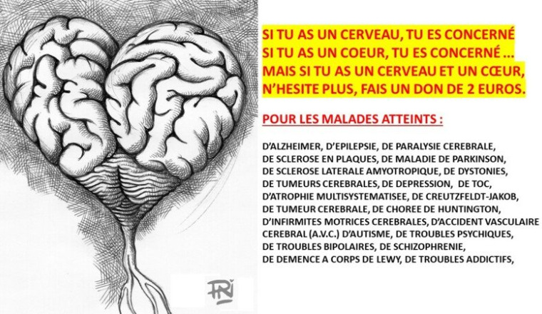NEURODON