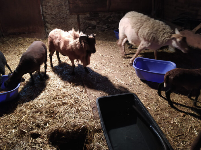 Image justificative de la cagnotte