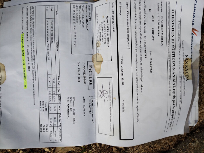 Image justificative de la cagnotte