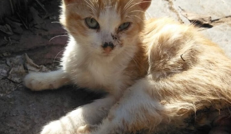 Aide urgente pour yoyo