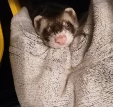 Notre bébé Ekko