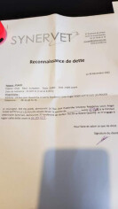 Image justificative de la cagnotte