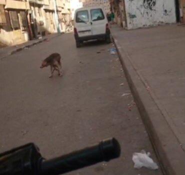 Husky Dar Bouazza