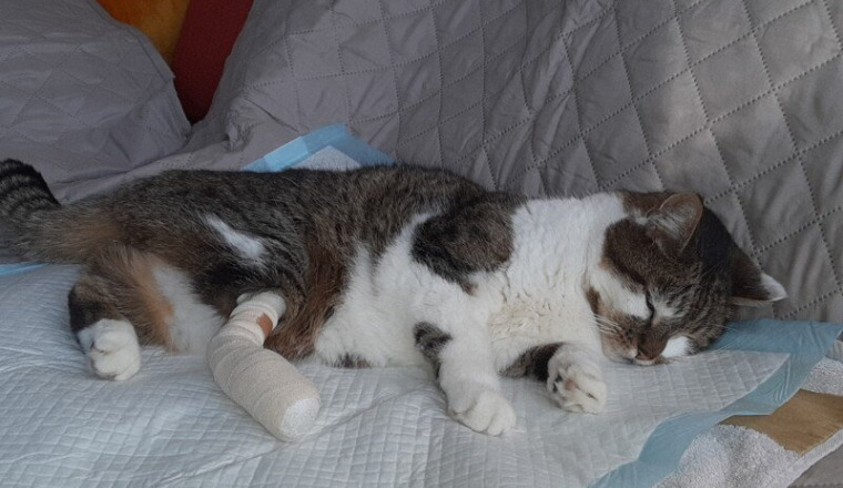 "Aide, Fracture Ouverte, Opération Urgente !"
