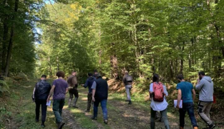 Les BTSA en tournée forestière au Québec