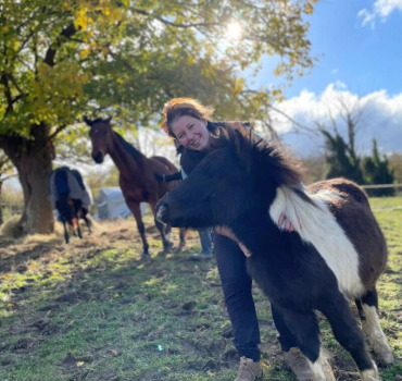 Médiation Equine
