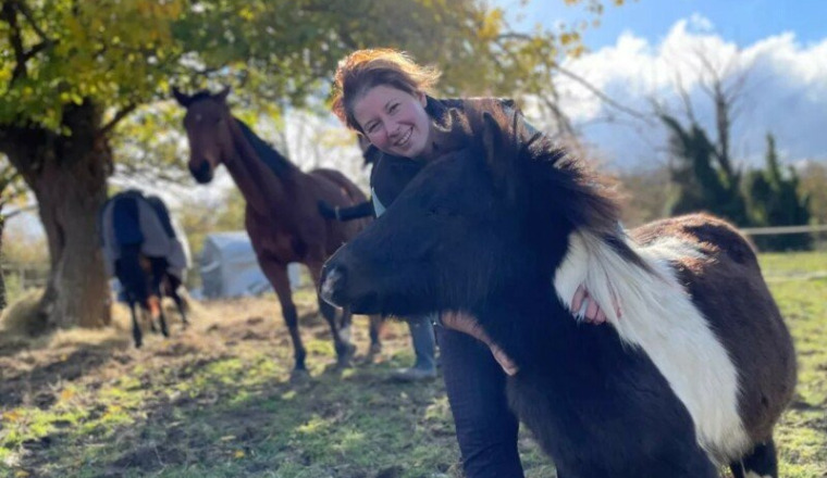 Médiation Equine