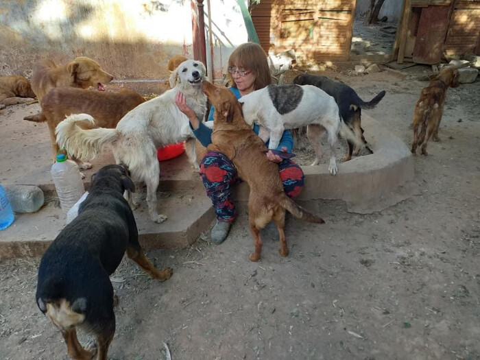 Image justificative de la cagnotte