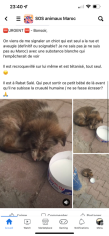 Image justificative de la cagnotte