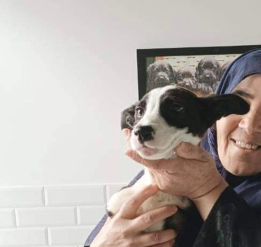 Une nouvelle vie pour Jack chiot handicapé