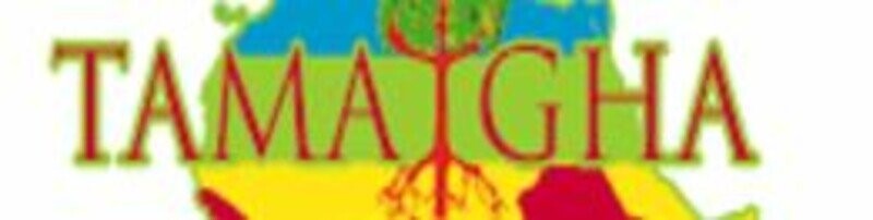 March of the Amazigh Diasporas in Paris, 23/04/2023