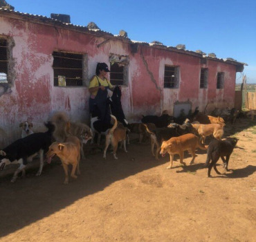 Urgence Refuge - Hajar (Salé)