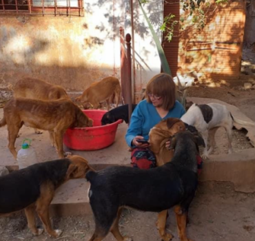 Pour le refuge de Khadija - AVPAE Maroc