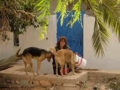 Image justificative de la cagnotte