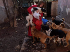 Image justificative de la cagnotte