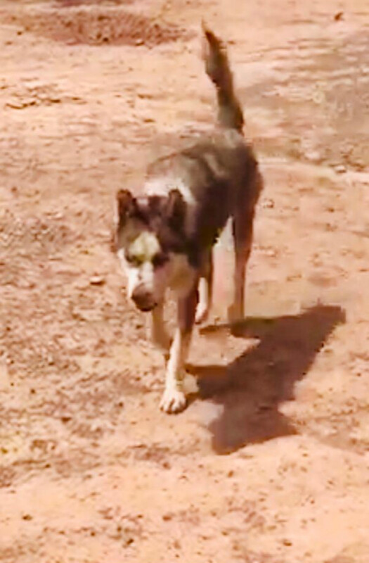 Fundraising proof image
