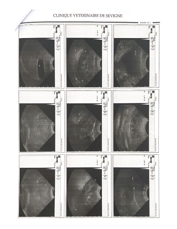 Fundraising proof image