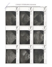 Fundraising proof image