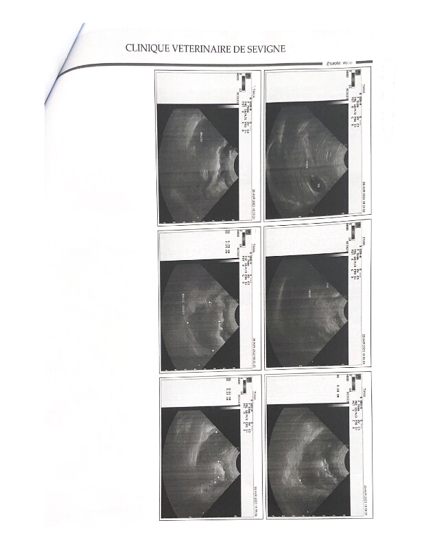 Fundraising proof image