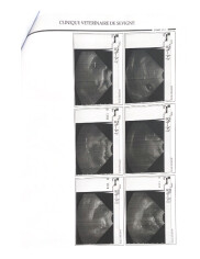 Fundraising proof image