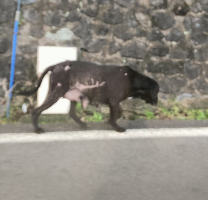 Image justificative de la cagnotte