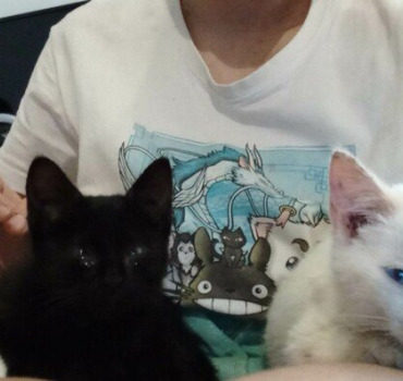 Pour Cerise, Yoro, Kobi, Mimi et Panda