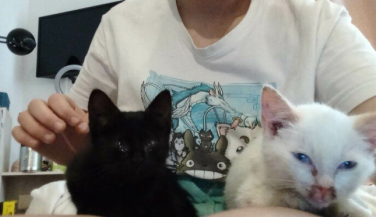 Pour Cerise, Yoro, Kobi, Mimi et Panda