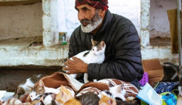 Aide aux animaux