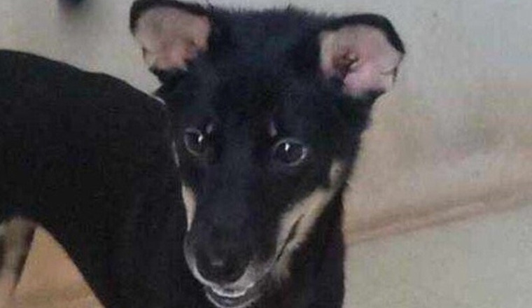 Soins bébé d'amour Yazzie