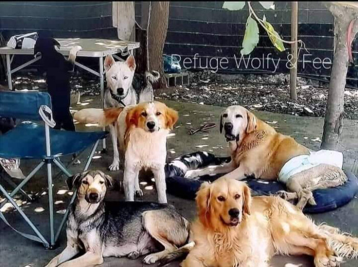 Image justificative de la cagnotte