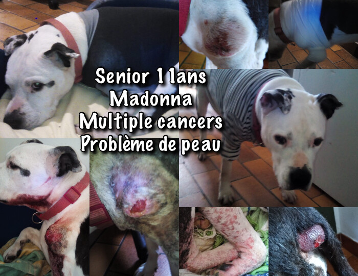 Image justificative de la cagnotte