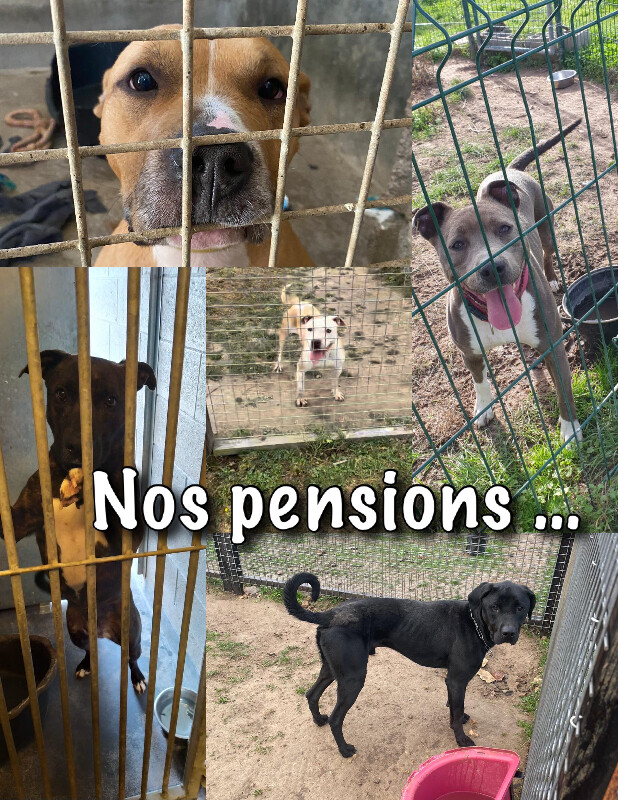 Image justificative de la cagnotte