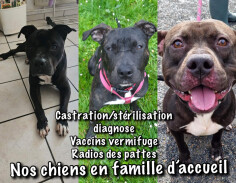 Image justificative de la cagnotte