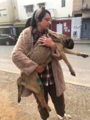 Image justificative de la cagnotte