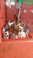 Image justificative de la cagnotte