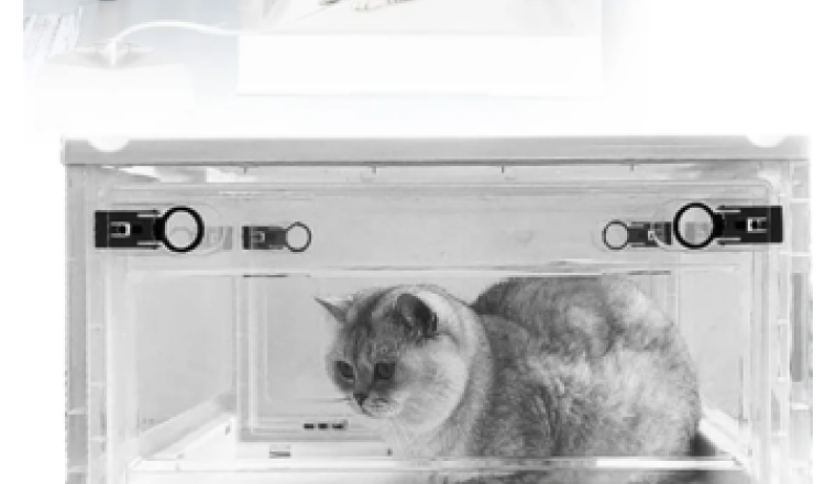 Pour symphonie