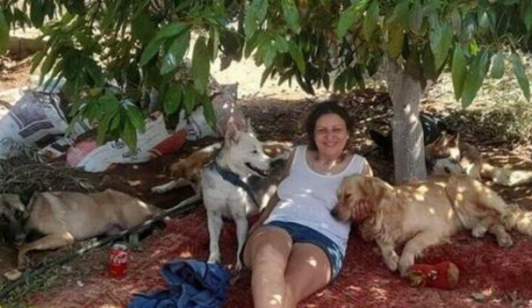 SOS - Nourrir les chiens du refuge