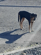 Image justificative de la cagnotte