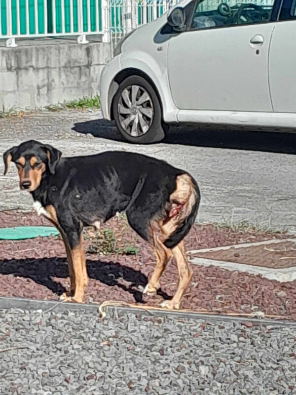 Image justificative de la cagnotte