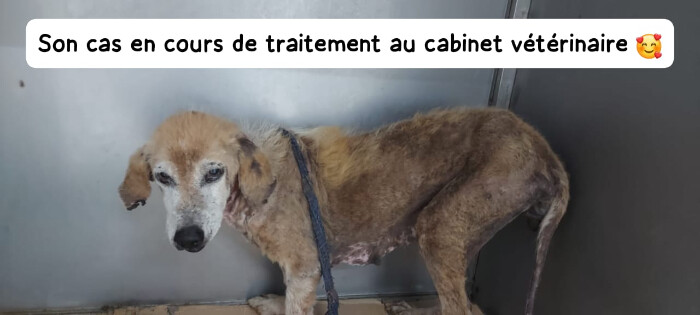 Image justificative de la cagnotte
