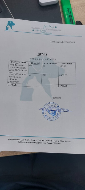 Image justificative de la cagnotte