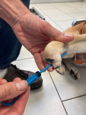 Image justificative de la cagnotte