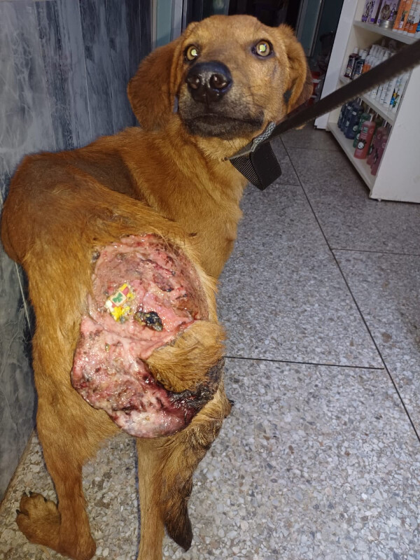 Image justificative de la cagnotte