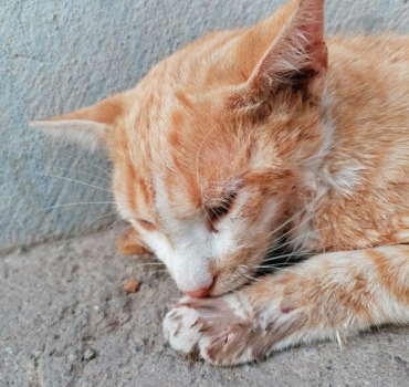 Help for better life🙏❤️