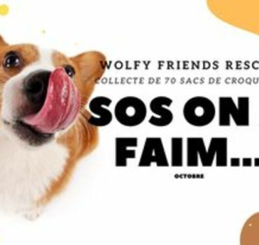 SOS - Nourrir les chiens du refuge  ( octobre )
